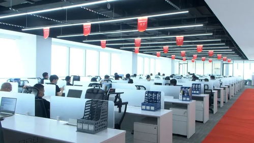 落戶安家,他們共同看上了漢陽的啥