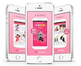 如何評估電商app外包開發的價格
